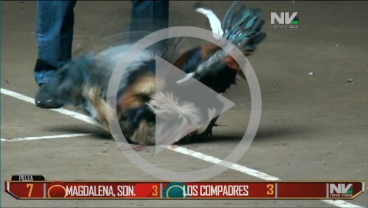 MAGDALENA, SON vs LOS COMPADRES 