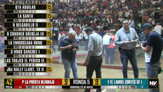 17 de agosto: Derby de 20 equipos, 5 gallos, $50,000, Parte1