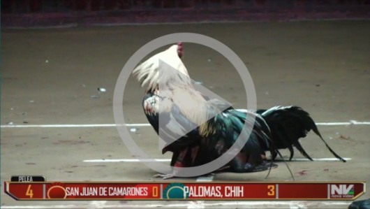 SAN JUAN DE CAMARONES vs PARRAL, CHIH  30ene22