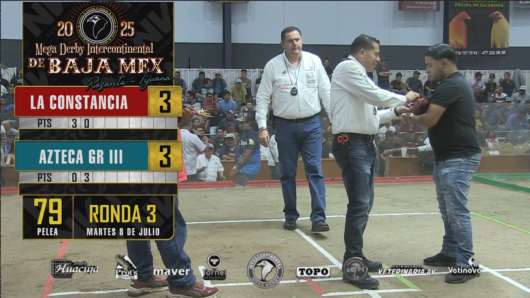 17 de agosto: Derby de 20 equipos, 5 gallos, $50,000, Parte1