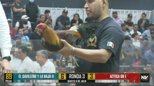 17 de agosto: Derby de 20 equipos, 5 gallos, $50,000, Parte1