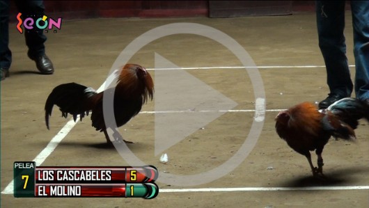 LOS CASCABELES vs EL MOLINO 18ene22