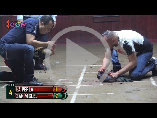 LA PERLA vs SAN MIGUEL 16ene22