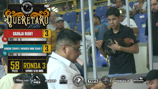 17 de agosto: Derby de 20 equipos, 5 gallos, $50,000, Parte1
