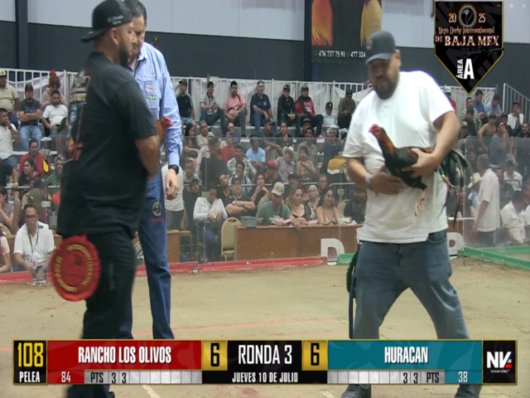 17 de agosto: Derby de 20 equipos, 5 gallos, $50,000, Parte1