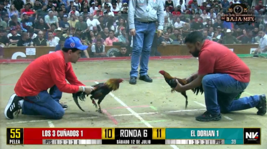 17 de agosto: Derby de 20 equipos, 5 gallos, $50,000, Parte1