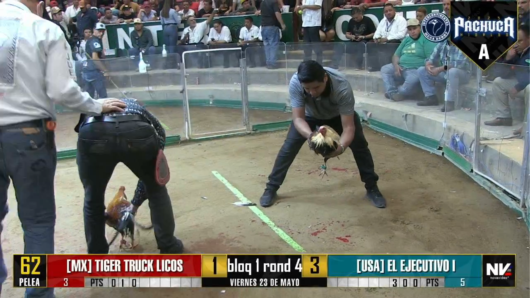17 de agosto: Derby de 20 equipos, 5 gallos, $50,000, Parte1