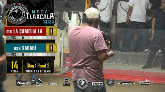 17 de agosto: Derby de 20 equipos, 5 gallos, $50,000, Parte1