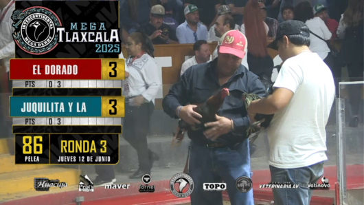 17 de agosto: Derby de 20 equipos, 5 gallos, $50,000, Parte1
