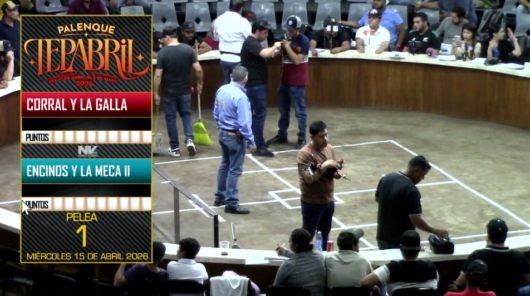 17 de agosto: Derby de 20 equipos, 5 gallos, $50,000, Parte1