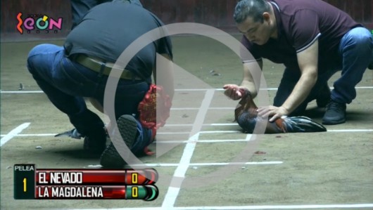 MAGDALENA vs EL NEVADO 20ene22