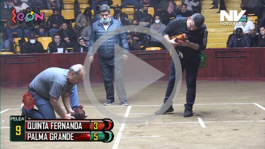 PALMA GRANDE vs QUINTA FERNANDA 14ene22